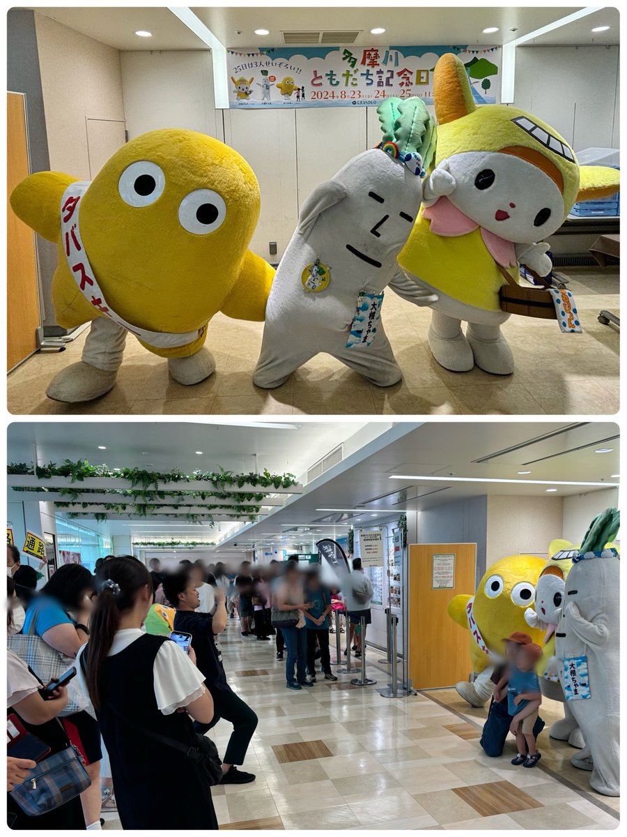 daikonchama's tweet photo. 『お知らせ』
8/29・30（土日）
恒例の福祉イベント
『多摩川ともだち記念日』がありますちゃま
🚨大根ちゃまは30日のみ参加⇦❣️

場所はJR蒲田グリンデュオ蒲田
時間はHPから見てね
撮影会は大人気ですので、整理券配布いたします

ぜひ遊びに来てねちゃま☺️ https://t.co/RKFDfZDwuk