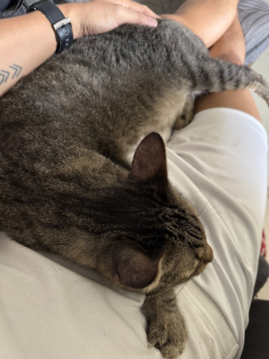 alblawri's tweet photo. Tired AF but then I got this hug 🥰 https://t.co/lWxt33JAVY