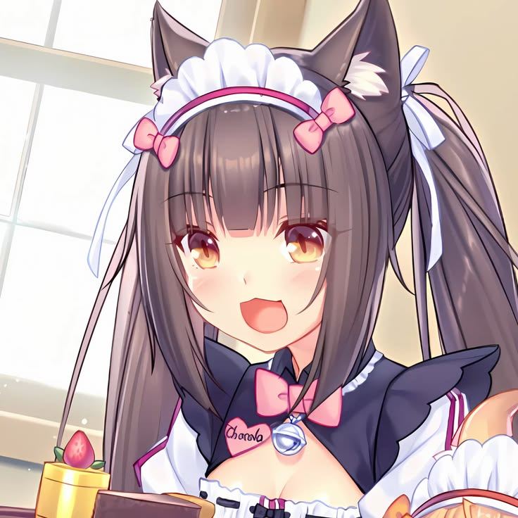 kittenkaji's tweet photo. Chocola: https://t.co/M2sR5tqoca