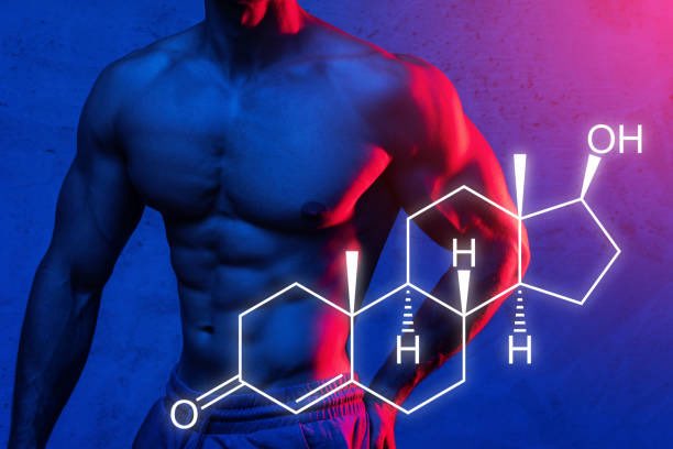Mind Muscle Project tweet media