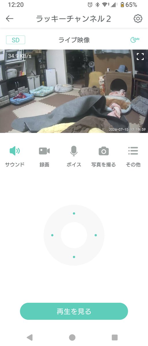 KENz_182's tweet photo. ノアママが朝出てった直後のリビングと今現在の様子(・ω・)

ノアさんいっぱい仕事して今日も元気です((´∀｀*))ヶﾗヶﾗ https://t.co/DfIIZVDqBu