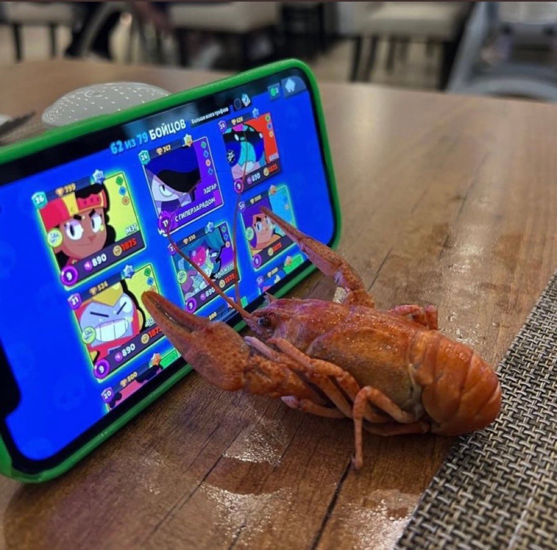 MrWaffle tweet media