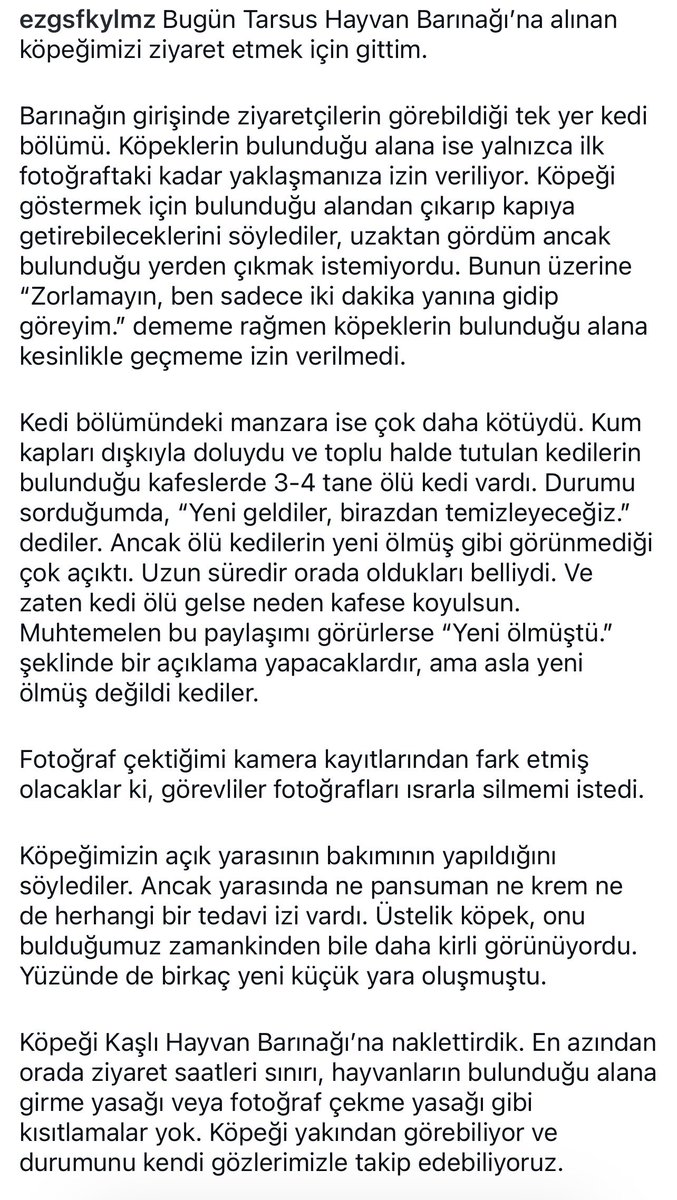 DokuzOlmaz's tweet photo. Tarsus Belediyesi, yaşanan olaylardan hiç ders almamış. https://t.co/sm7tADJdh7