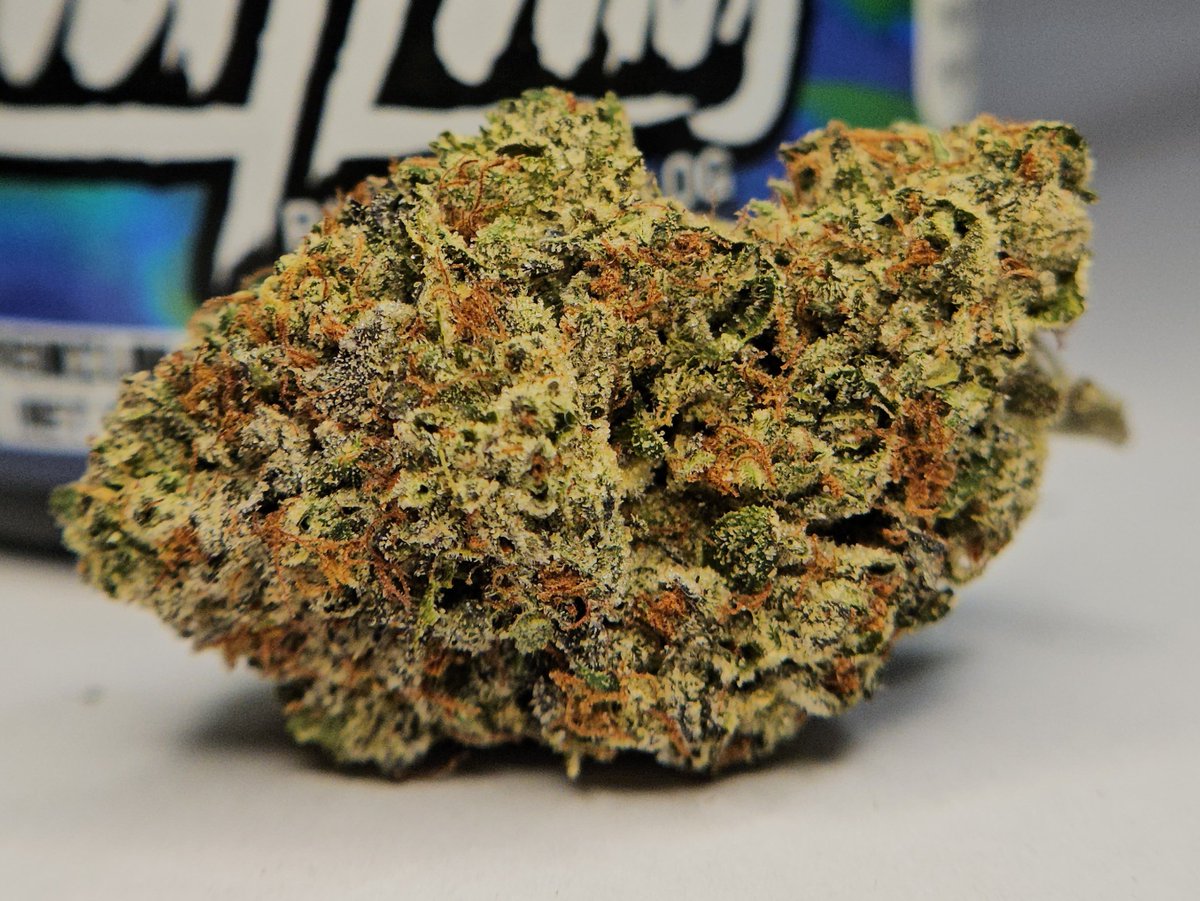 Haze4dayz tweet media