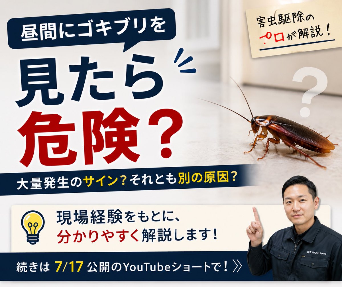 TOMOSES06's tweet photo. 昼間にゴキブリを見たことはありますか？

「昼間に出た＝大量発生」と思われがちですが、現場ではそれだけで判断することはありません。

大切なのは、"何匹見たか"ではなく"どのような状況で見たか"です。

#ゴキブリ #ゴキブリ駆除 #害虫対策 https://t.co/n0VkK0cQfF