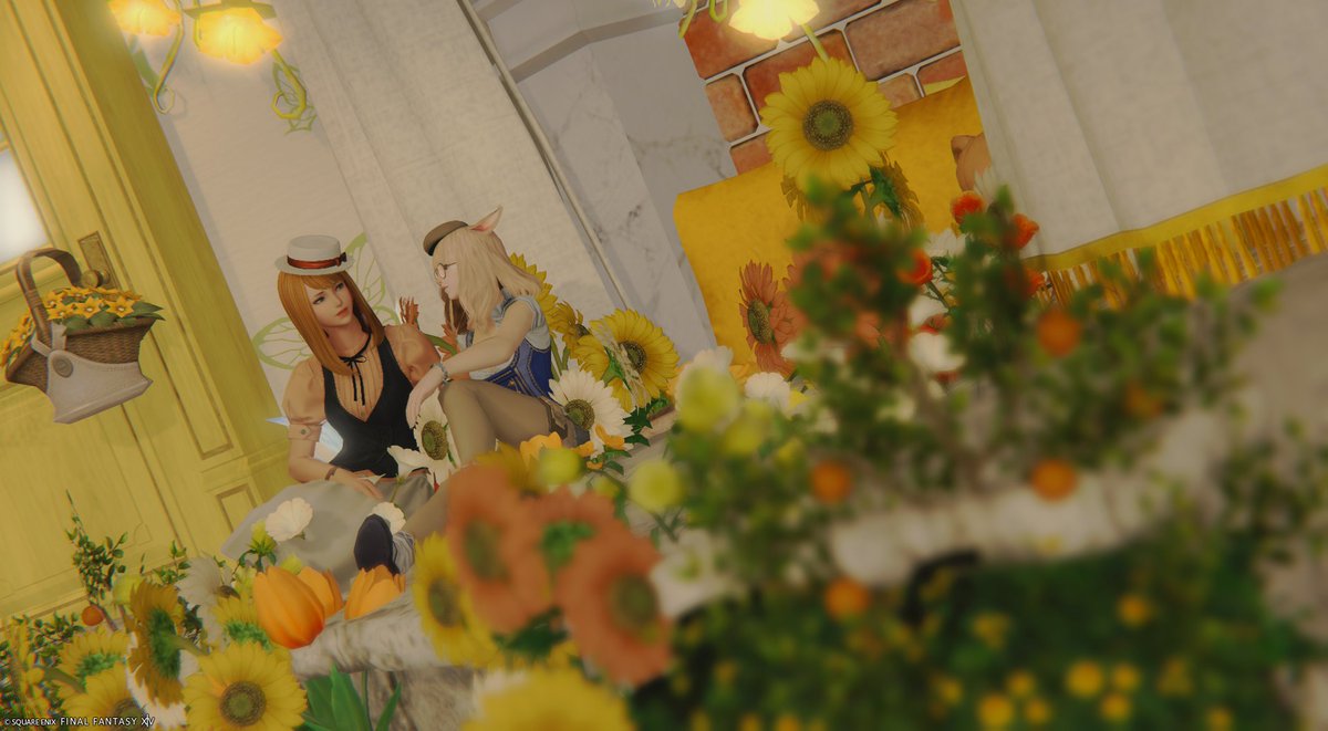 Rnami10's tweet photo. 先日SS載せたスタジオさんの別ブースで撮った写真🌻🪭
かわいいブースたくさんあって見てるだけでも楽しかった・・・！ひまわりのブースが特に好きです🎶ありがとうございました！
#cham_studio #FF14SS https://t.co/6XEzOTu7SQ