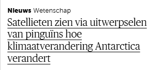 DjeeDeeBee's tweet photo. In de reeks vragen voor AI die niemand wil stellen: kakken pinguïns anders door de klimaatopwarming?

Ja, ik zou een abo op #DeMorgen kunnen nemen maar ik doe het niet.  Ik zit zo hard op m'n geld dat het lijkt alsof ik een Euro tat op m'n kont heb. https://t.co/nULmpmtt0U