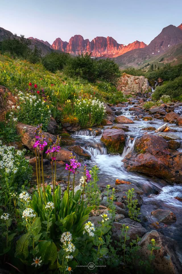 Norway_Pine's tweet photo. Colorado 🇺🇸 https://t.co/FTDSh3dass