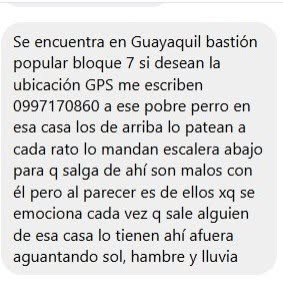 DefensoresAn's tweet photo. Norte de #Guayaquil #Bastionpopular
Perro maltratado por sus tutores, lo golpean, lo lanzan escalera abajo, los vecinos le dan de comer.  Lo echan d la casa pero el animal regresa. Urge rescate. Contacto: 0997170860 @Proanimal_gye @181Responde @taticoronelf @LFC014 @EmergenciasEc https://t.co/zNfapqX211