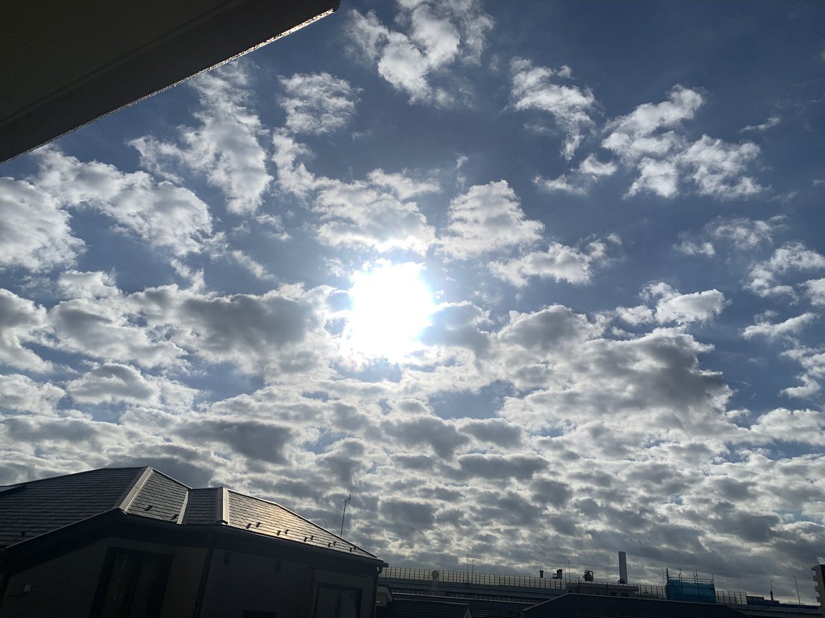 kongchang68's tweet photo. 輝いてる輝いてる
地平線の向こうでいつかの未来が
輝いてる輝いてる
あの頃の未来の上で途方に暮れる https://t.co/DBdDpKIAXa