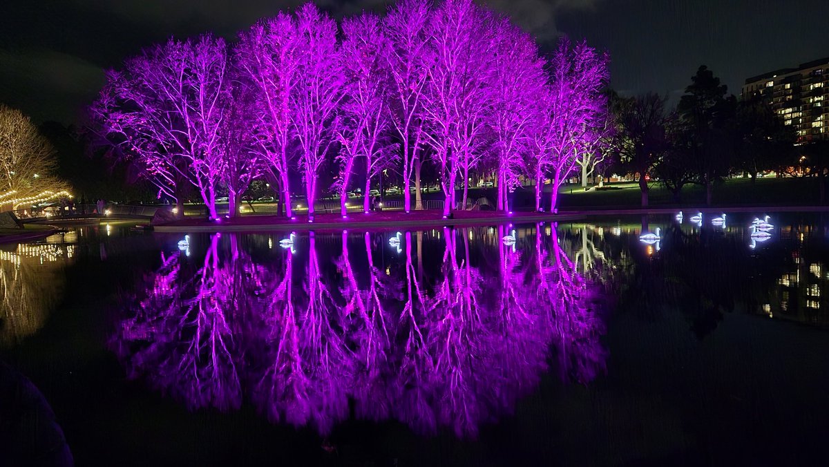 xenoswahid's tweet photo. Adelaide Illuminated https://t.co/GLXDELTycZ