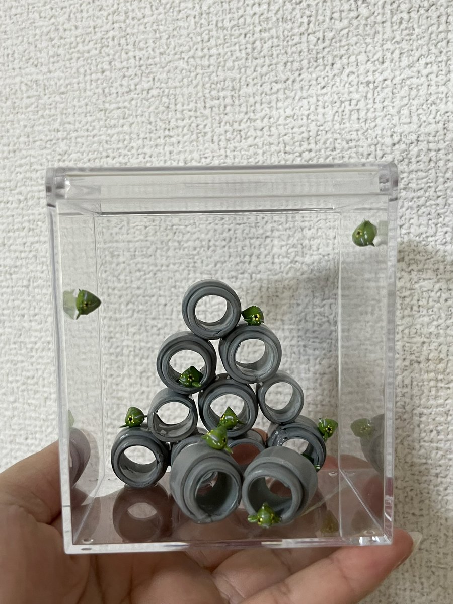 KAPUSERUDO's tweet photo. どうにか形になった😭
ガクタメの推し水槽は第5弾になるのですが、今回は仙台うみの杜水族館で見た、ダンゴウオの飼育水槽の1部を切り取った形でミニチュアにしてみました。
良かったら観に来て下さい😊
 #博物ふぇすてぃばる https://t.co/xhYe4jNpUm