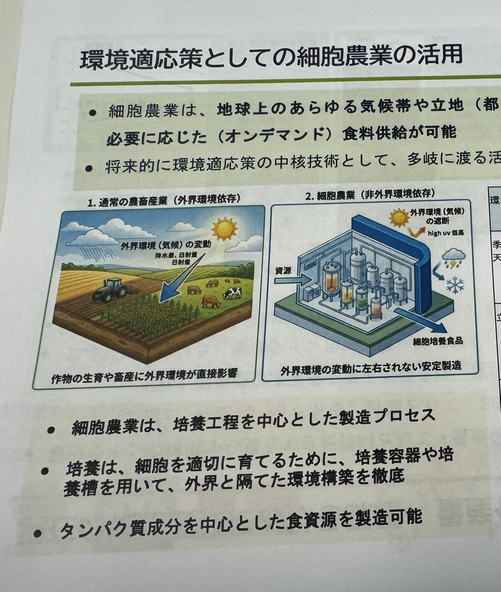 naomi_tokashiki tweet picture