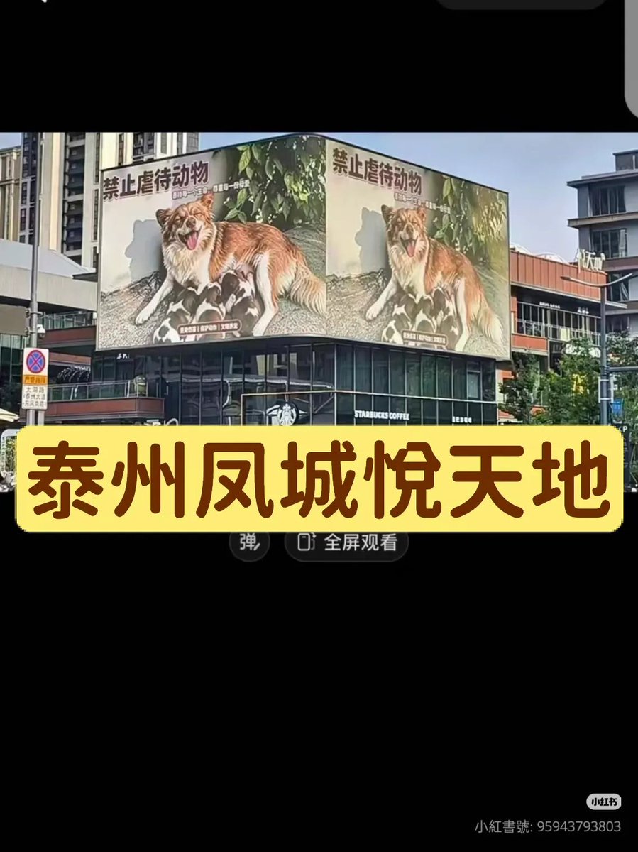 李老师不是你老师 tweet media