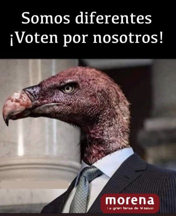CatalinaRIVELLE's tweet photo. @lumendoz https://t.co/lvAFiF2JTO