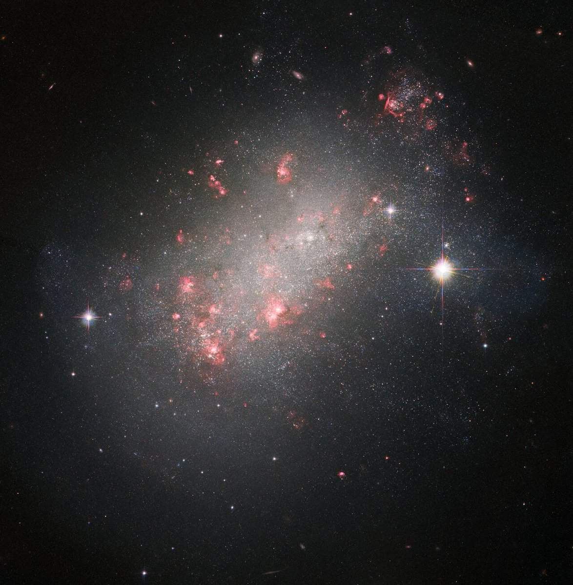 DailySpaceNude's tweet photo. Day 1276 - NGC 1156

📷Hubble
#Space #Astronomy #Hubble https://t.co/60agHqnY4q