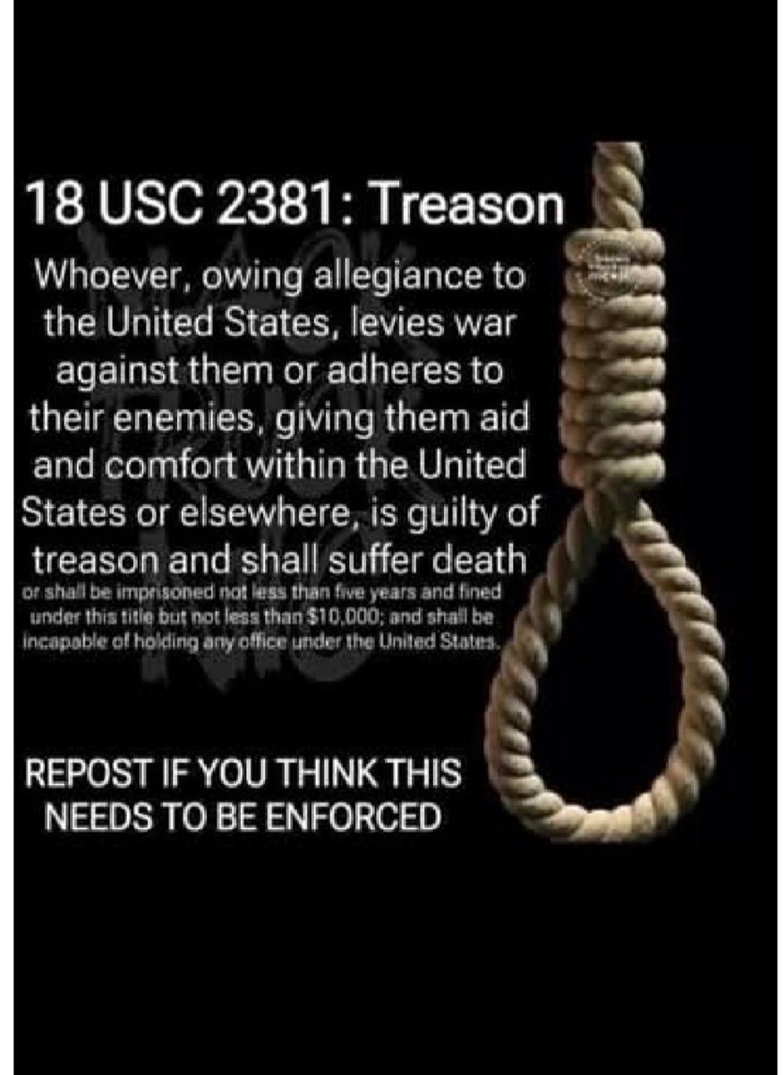 YY 🇺🇸🍊🐸🙏🏼 tweet media