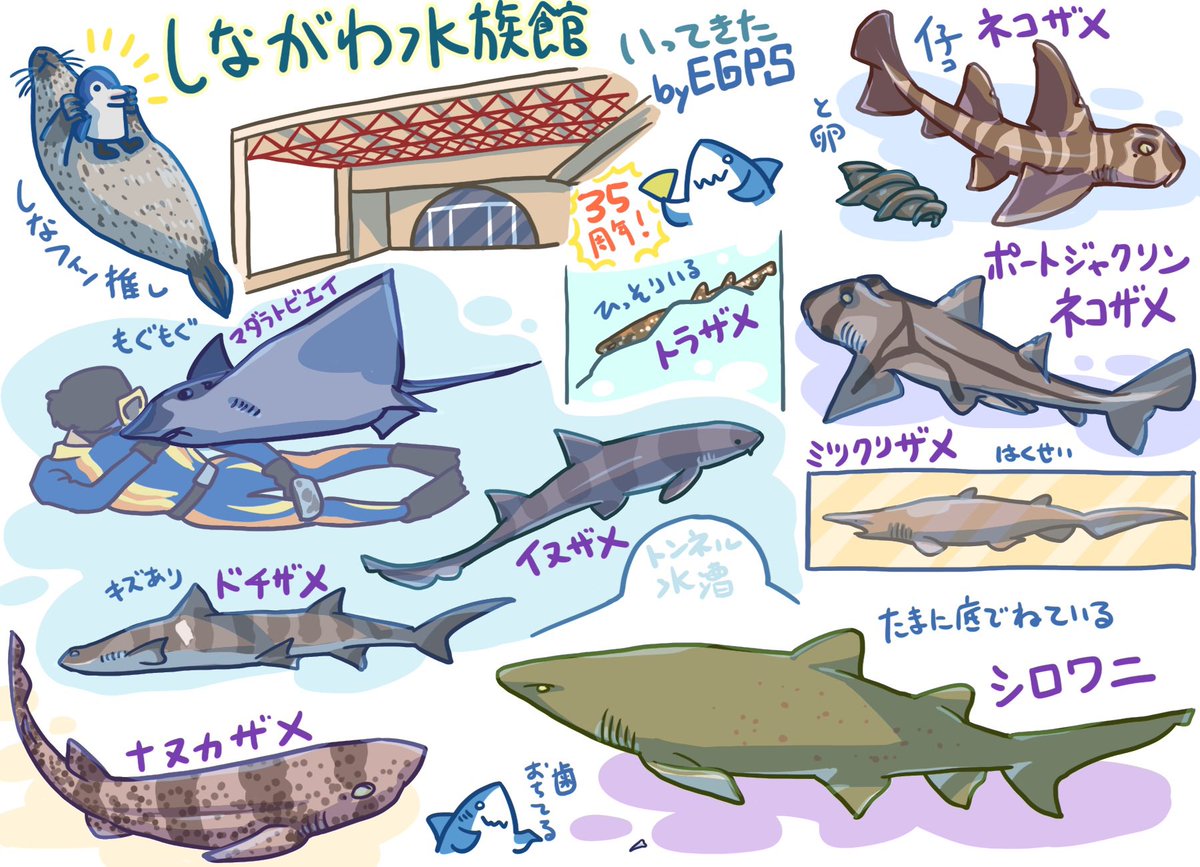水族館