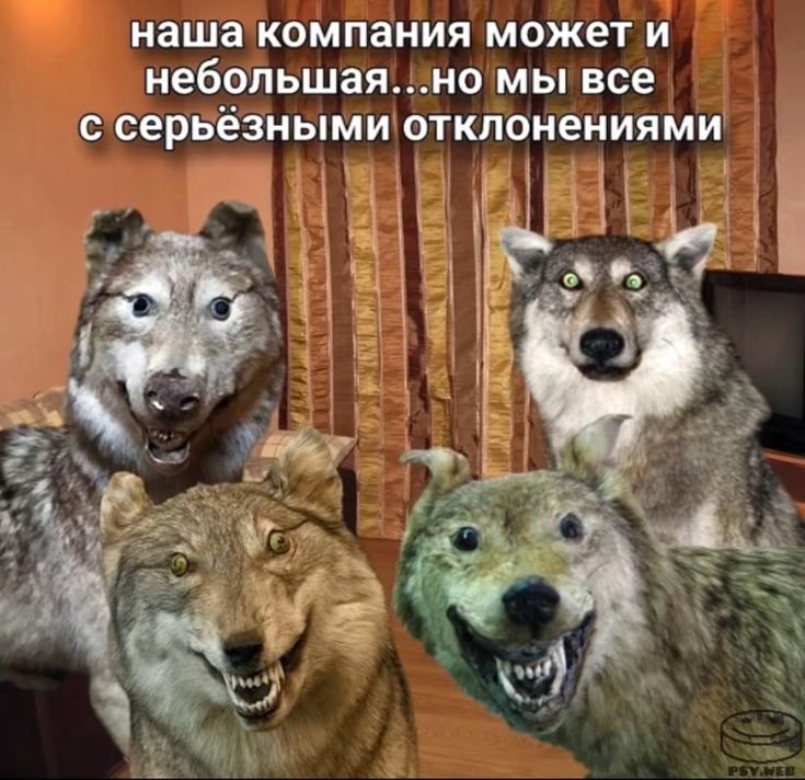 tany94g's tweet photo. Ну, в новый день. С новыми силами!
ДА, МЫ ВСЕ ЕЩЕ ЖДЕМ ВАЛКО!

#ValkoIs6thLI #SaveValkoSaveLADS #ValkoIsLoved #BringValkoBack https://t.co/rbQTzy02Sv