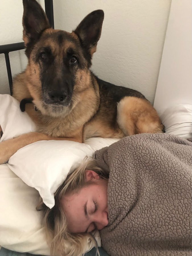 dogknott42's tweet photo. Feeling curious? 😏🐾 My newest dog knotting content is waiting for you. DM https://t.co/rT5LRbslnV on Telegram and ask for the prices. 🥵❤️
#zoopride #dogknot #dogknotting #zoophile #zoogirl #k9 #slut #knottyslut #zoophiletwt #fypシ゚viral #fypシ゚  #catgirl #europe #usa https://t.co/paSm1cSYDf