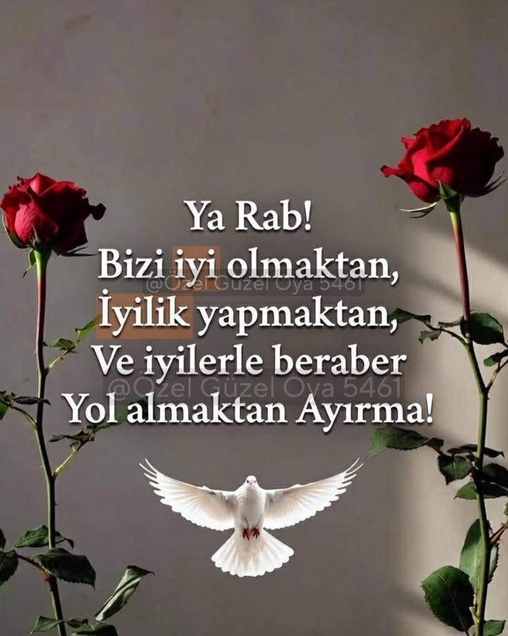 sabahsevgi35's tweet photo. Cümleten Hayırlı Sabahlar 
RABBİM sağlık sıhhat ve afiyetler versin 
Bizi ve sevdiklerimizi bildiğimiz bilmediğimiz gördüğümüz görmediğimiz aniden gelen bütün musibetlerden kötülerin şerrinden korusun.
Doğru yoldan ayırmasın. 
Her daim yar ve yardımcımız olsun.
İNŞALLAH AMİİN 🤲 https://t.co/lf869OPgRu