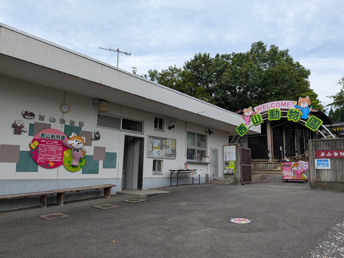ひでぴょん (@hidepyon1001) / Posts / X