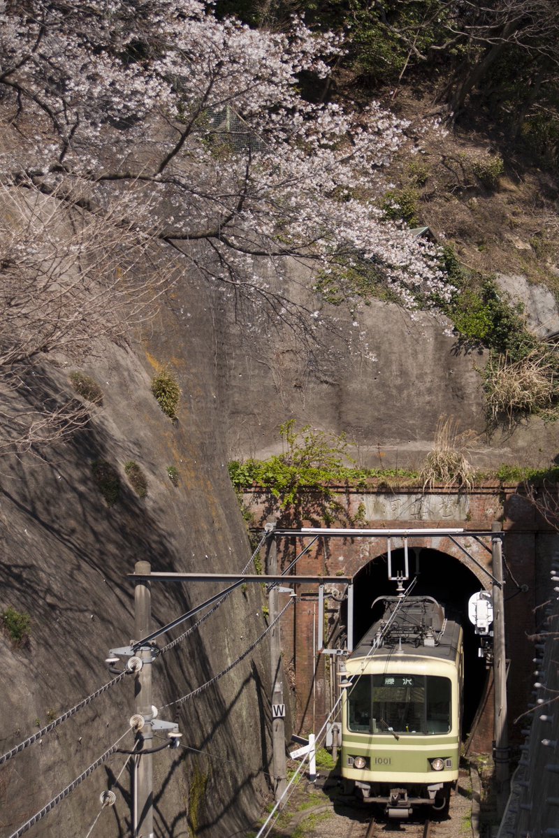 w_6a's tweet photo. 1501Fサンラインが復活し、1001Fが原色に戻った時、これが江ノ電を本気で撮る最後のチャンスかもと思ってましたが、本当にあの時やり切ってて良かったなと
ここ最近はたまに乗る程度になってましたが、長い間お疲れ様でした
 #ありがとう江ノ電1001・1051号 https://t.co/UqmJCOtJy9