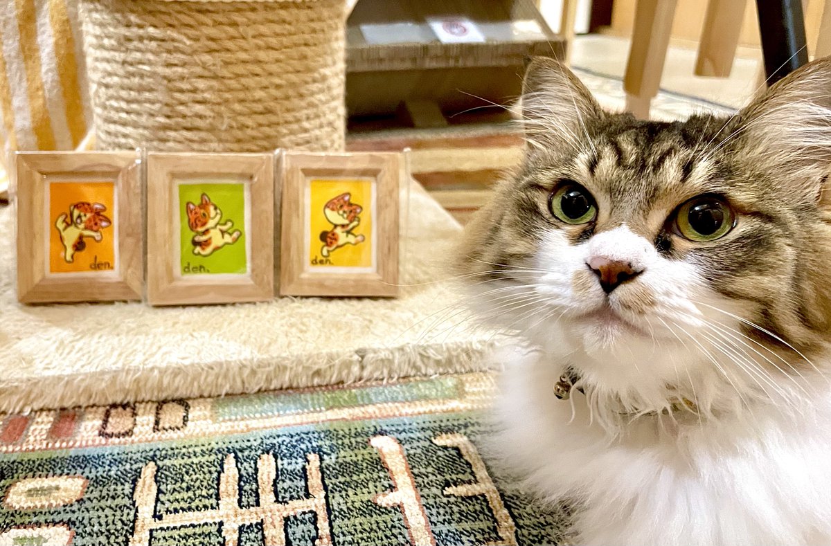 こまち 絵画６点 ガーデンシェッドのネコちゃん 原画 描き下ろしミニ原画は現在全17種類。様々な表情のピッコや八ちゃんを