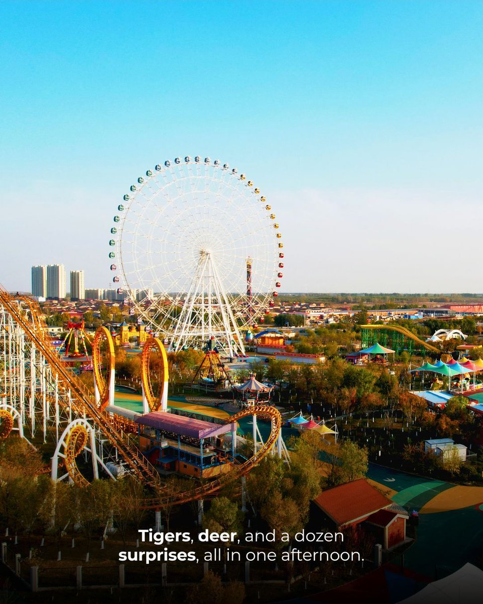 Cangzhou_China's tweet photo. Xinhua district doesn't oversell itself, it just delivers: a 600-year-old mosque standing on the canal bank, a riverside walk past Nanchuan Lou's old streets, and a zoo that gets you face-to-face with pandas and tigers. 🐼 

#WeekendGetaway #Visitchina #ChinaTravel #cangzhou #Panda
