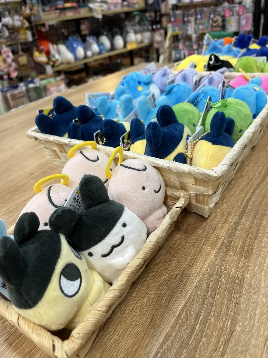 cashe_yunimo's tweet photo. 🎁【おすすめ商品】

🌟たまごっちチェーン付きぬいぐるみ各種

たまごっち売り場が少し広がりました😊
ぬいぐるみの種類も増えました！
お店に入ってすぐがたまごっち売り場です！(っ ॑꒳ ॑c)🌟

 #たまごっち  #たまごっちパラダイス https://t.co/xiwsUqbNsI