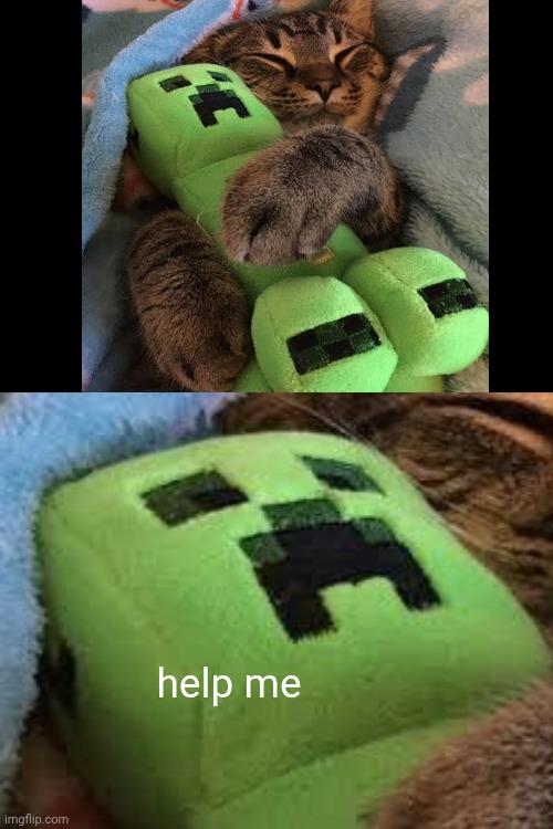 MinecraftMeme16's tweet photo. *helpless hiss noises* https://t.co/CMFG3kO4y3
