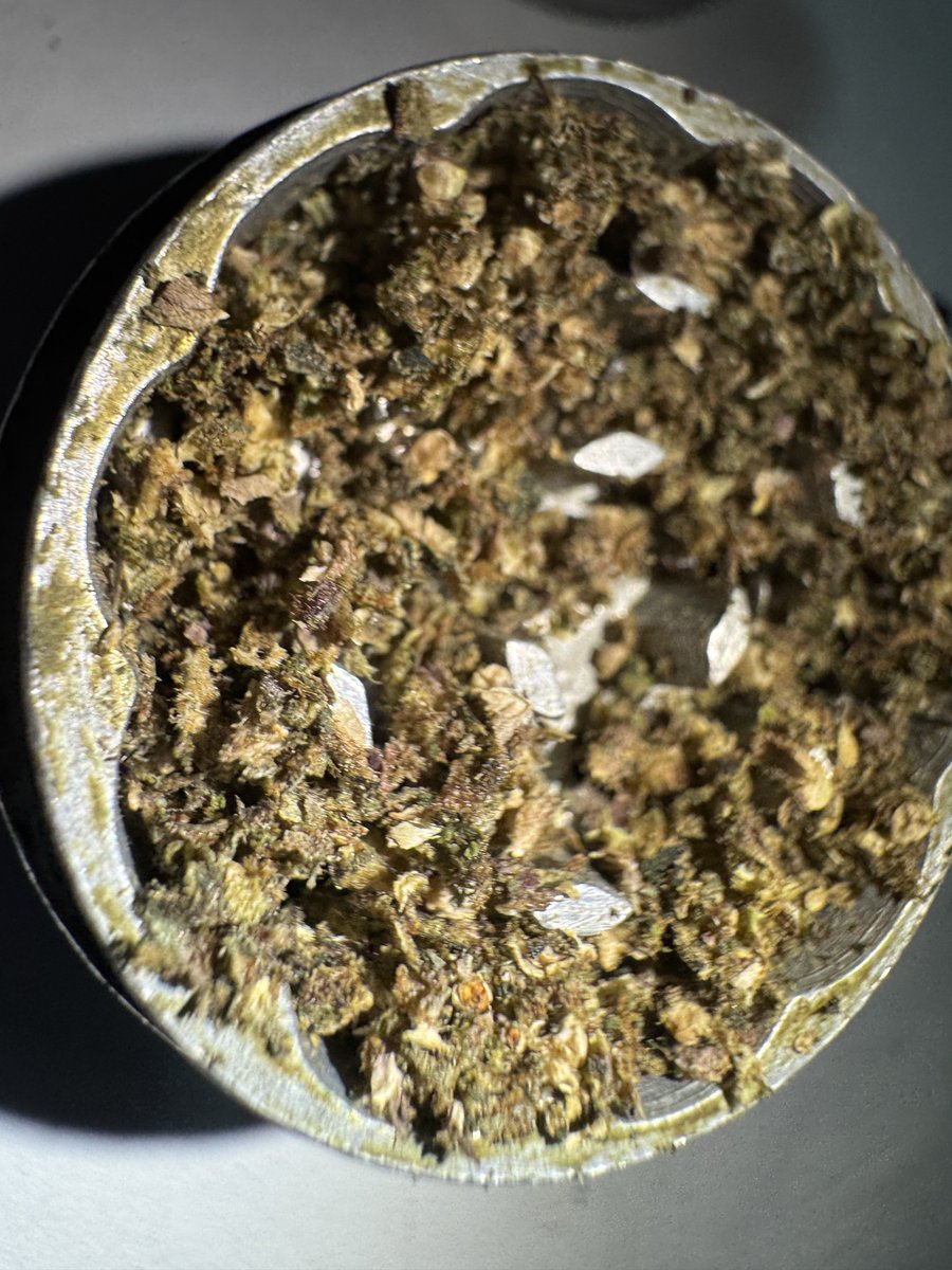 Ps_Yo_Wey_69's tweet photo. And, men also like flowers 🌱

Strain: Do-Si-Pie https://t.co/HYeWMChMLD