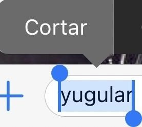 imnott_sof's tweet photo. che que aburrido es twitter sin amigos https://t.co/BxLv2a4utK