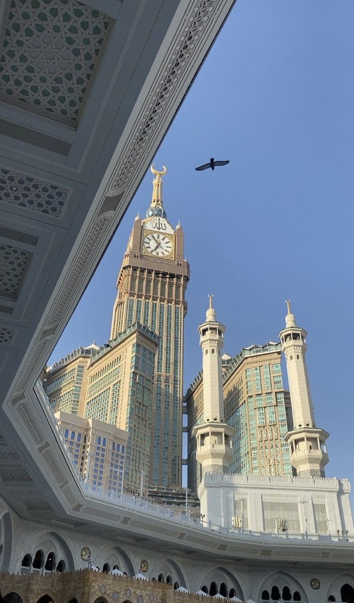 دِيــما tweet media