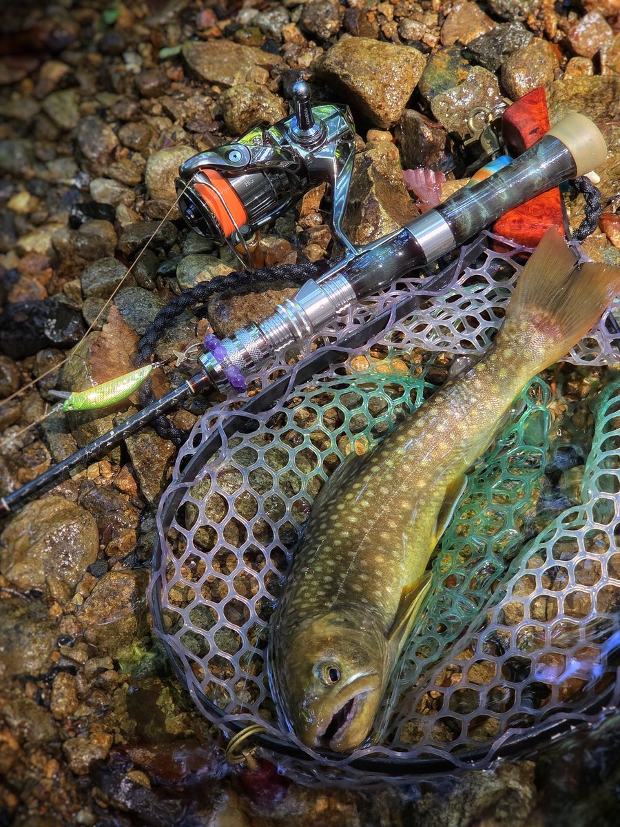 SONIDORIfishing's tweet photo. ホームリバーは増水してたので新規開拓したら当たりだった😁 https://t.co/yqeqXL9tkD