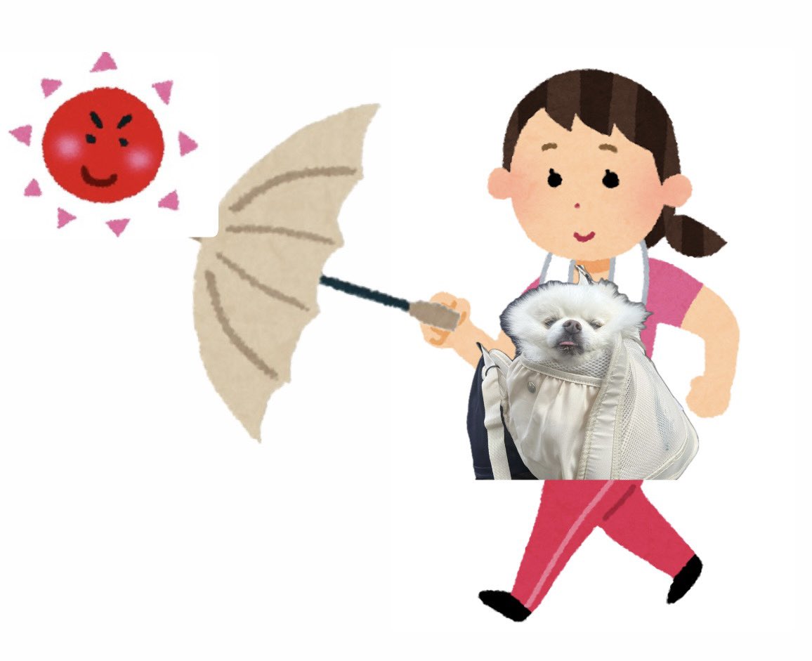 pome_tenkun's tweet photo. 犬のために日傘差すとこうなる(am6:00) https://t.co/FhQ23EM8BT
