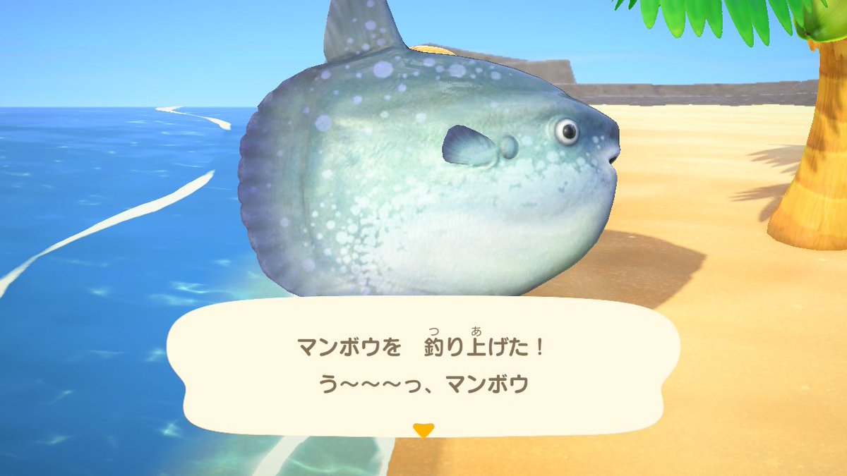 dendenodeny's tweet photo. マンボウさんはじめましてー！！君の顔よ https://t.co/vfcySc4blg