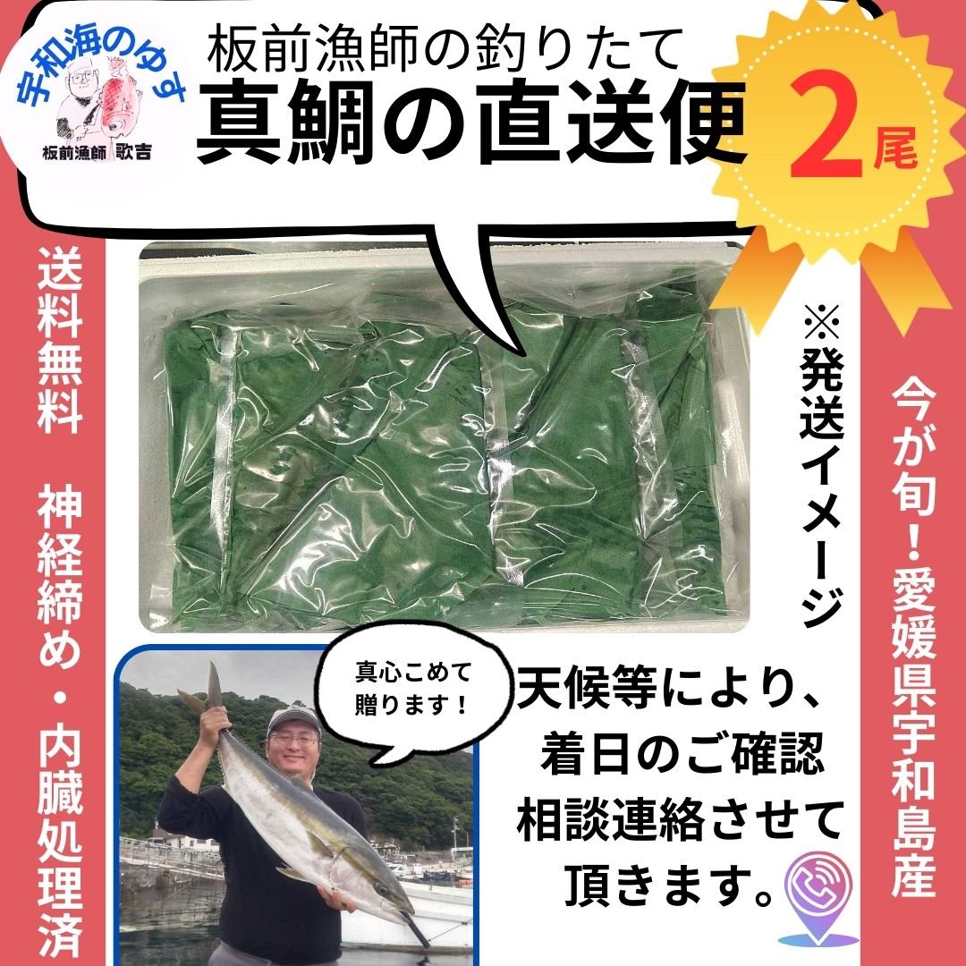 tsuku2jp's tweet photo. ＼今日は何の日？／
今日は #漁師の日
釣りたて真鯛1尾🐟
宇和島市遊子の宇和海から釣りたて真鯛を直接お届け！
網漁とは違い、釣��漁の良さを生かして、板前漁師が釣った1尾1尾を大切に処理して、発送いたします。
宇和海の海の幸をどうぞ🌊✨
#ツクツク #つくポチ #真鯛
https://t.co/pObbsoFEZu https://t.co/e3vU61p0mk