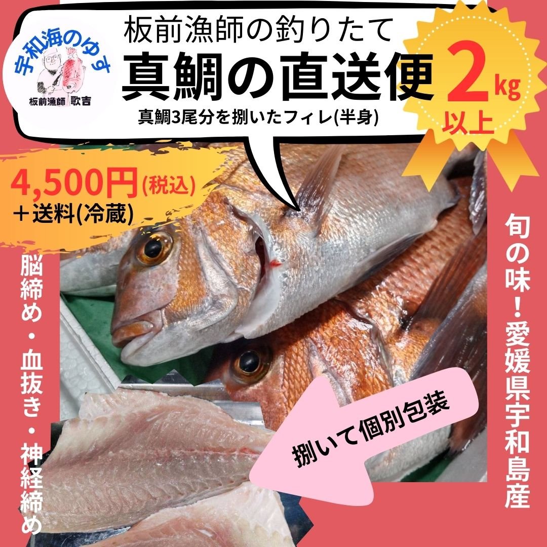 tsuku2jp's tweet photo. ＼今日は何の日？／
今日は #漁師の日
釣りたて真鯛1尾🐟
宇和島市遊子の宇和海から釣りたて真鯛を直接お届け！
網漁とは違い、釣��漁の良さを生かして、板前漁師が釣った1尾1尾を大切に処理して、発送いたします。
宇和海の海の幸をどうぞ🌊✨
#ツクツク #つくポチ #真鯛
https://t.co/pObbsoFEZu https://t.co/e3vU61p0mk