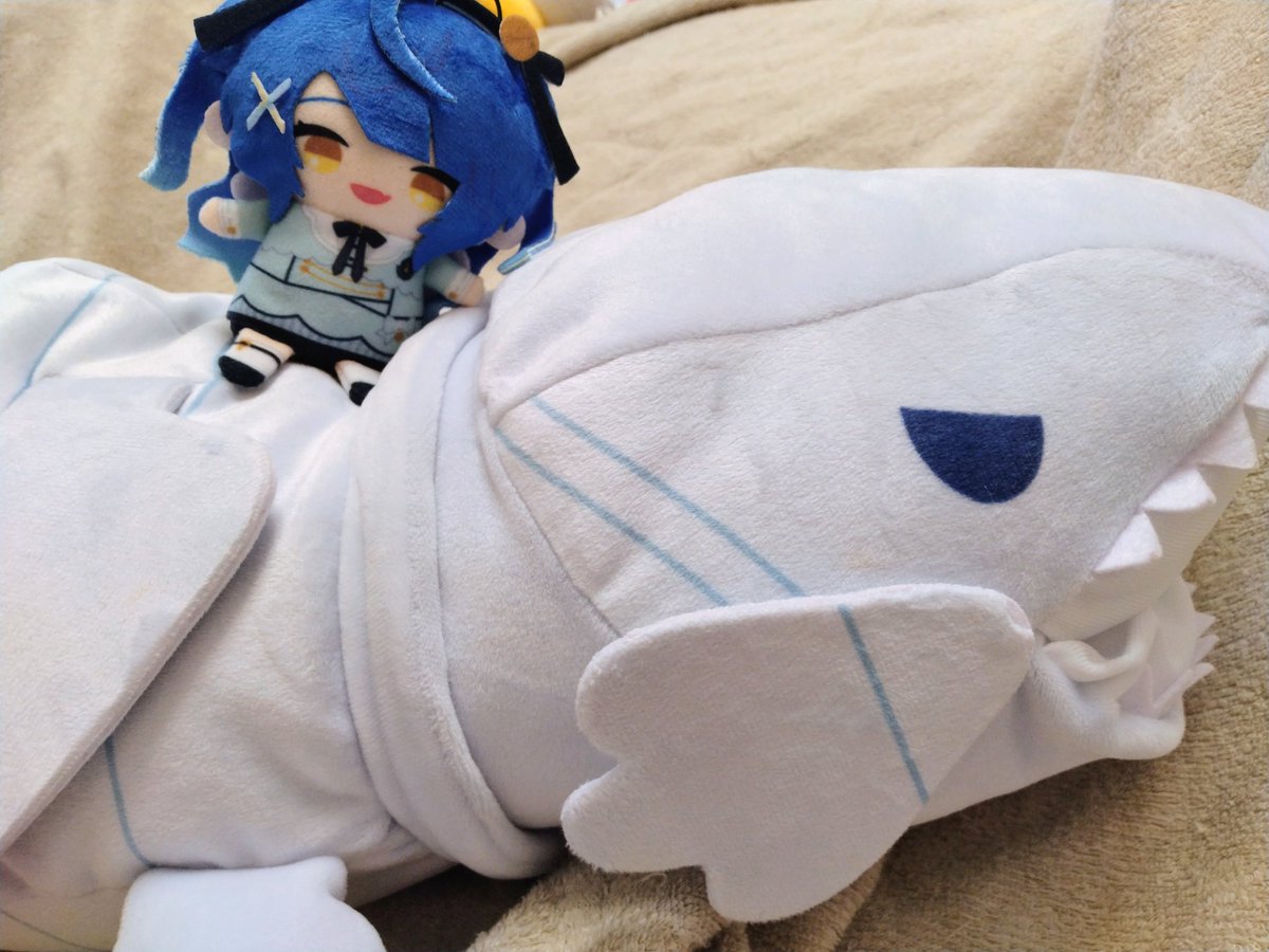 R66093989's tweet photo. うちのドラゴンガールです。（かわいい）かわいいです。（かわいい） https://t.co/lyWqXLgsTM