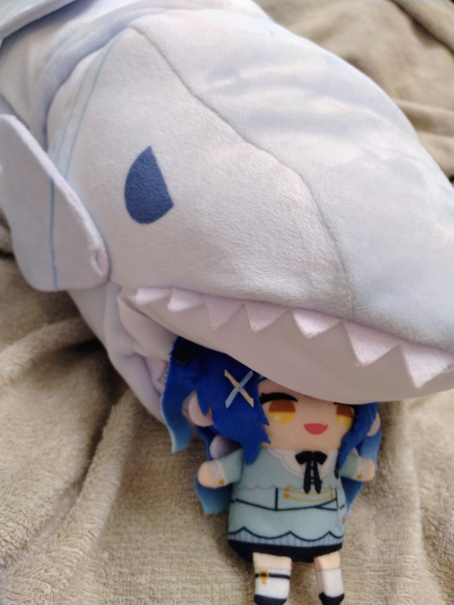 R66093989's tweet photo. うちのドラゴンガールです。（かわいい）かわいいです。（かわいい） https://t.co/lyWqXLgsTM