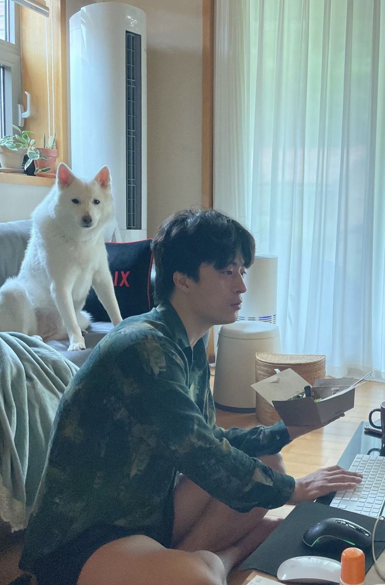 맹 tweet media