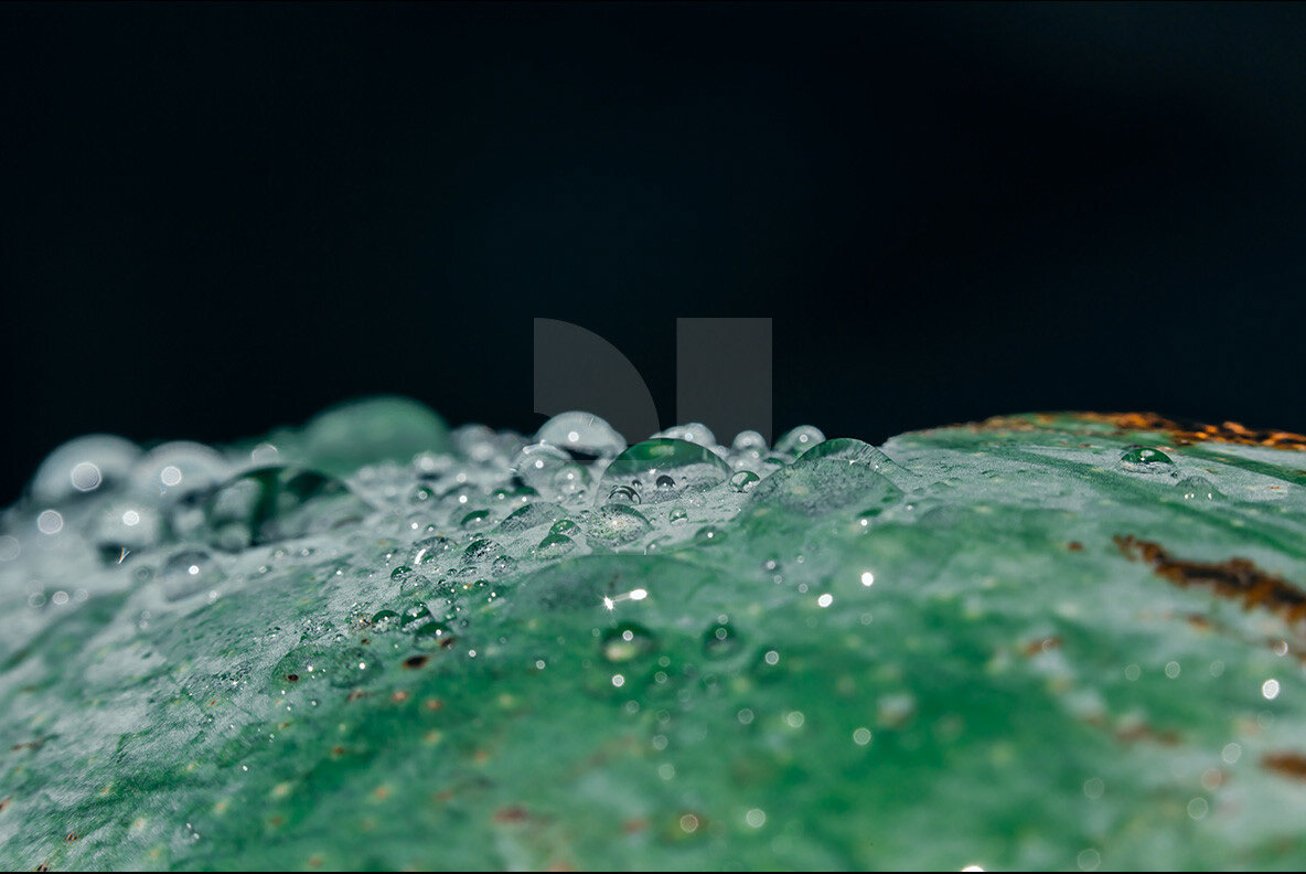 designeour's tweet photo. #Water #Droplets by Alpha
https://t.co/sNh5UxDczG https://t.co/KzZfgMibYR
