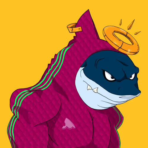 MetaSharks ✳️🦈 tweet media