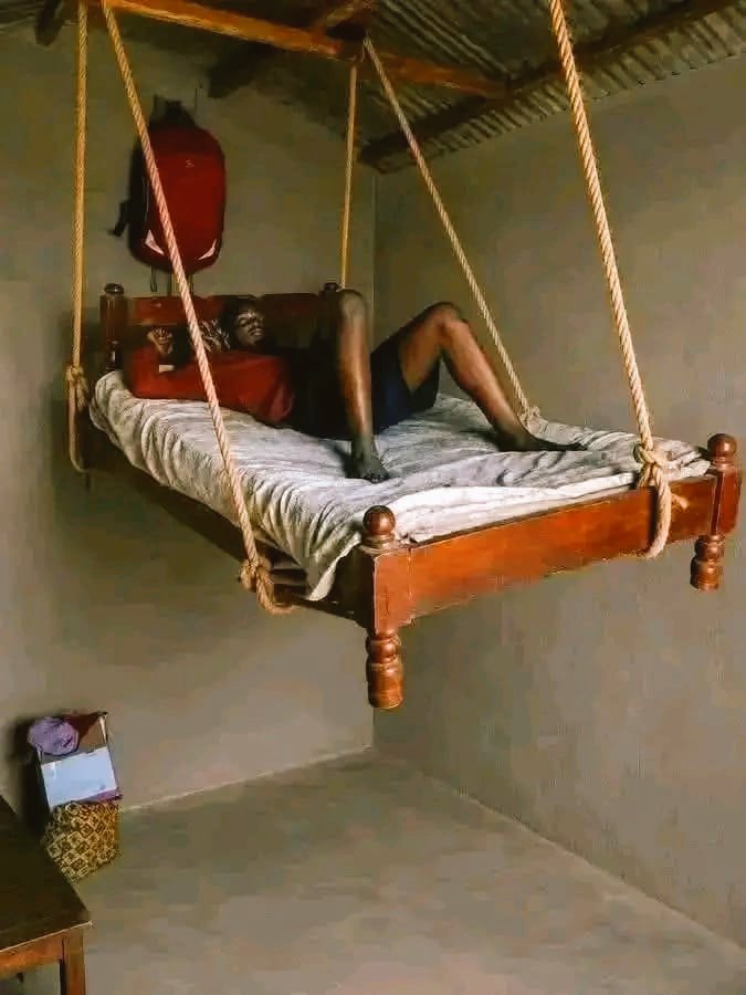 serenedeyforyou's tweet photo. "POV: You finally built y videoour dream bed after years of 'saving' π
No rent, no worries, just vibes and gravity doing the heavy lifting.
Who needs a yacht when you got this? πβ¨"#AfricanInnovation #Relatable #ChillVibes #Meme #HumbleLiving #DIYBed https://t.co/xSLEp3S0vW