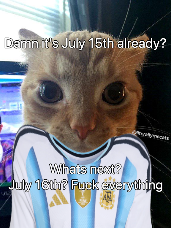 literallymecats's tweet photo. https://t.co/Cc0krwB4xM