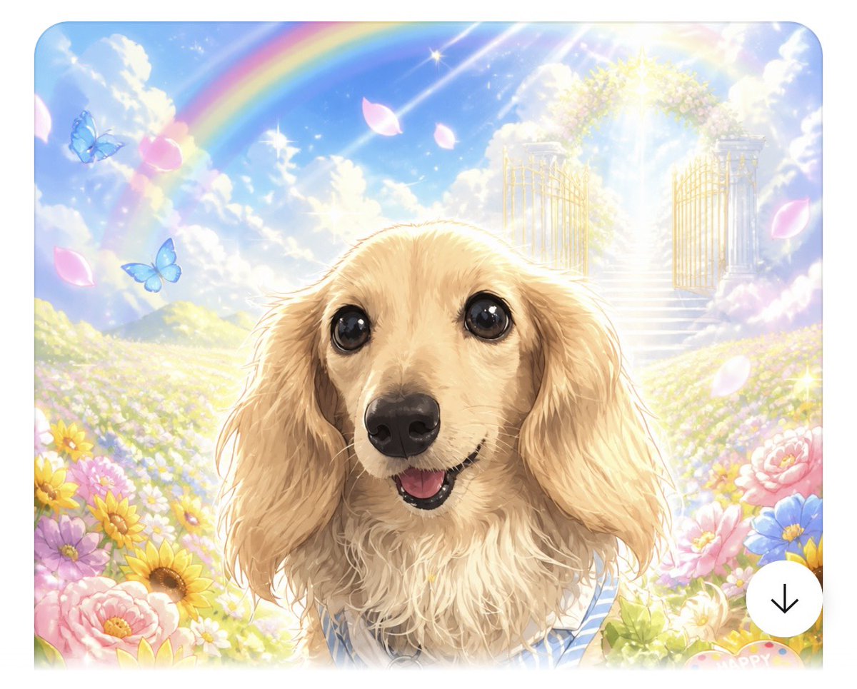 nvlucandy0920's tweet photo. 実は、キャンディの命日は、仲良しだったお友達のキャンディーちゃん（出会った時は同じ名前でお互いにびっくり😲）の命日と同じ日で、私はAI使いこなせないのですが、キャンディーちゃんのママが🌈から会いに来たよ🌠のダブルキャンディやレイちゃんのイラストを作ってくださいました❣️ https://t.co/e5CeW30eME