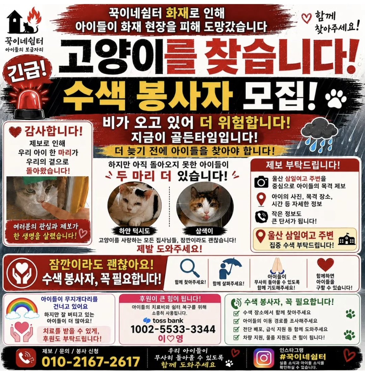 먕🐈 tweet media