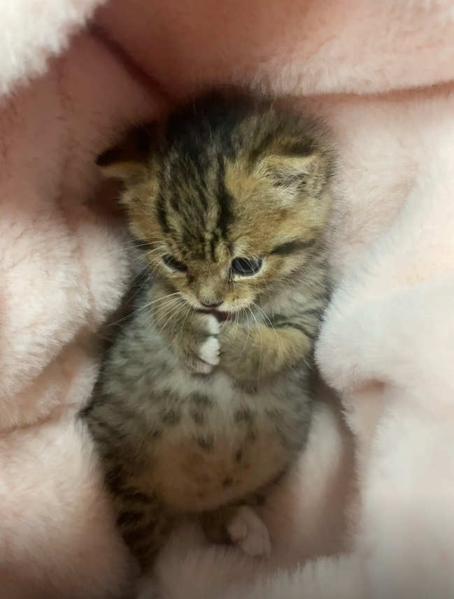 culAnimal's tweet photo. https://t.co/oCqN7MAdbv