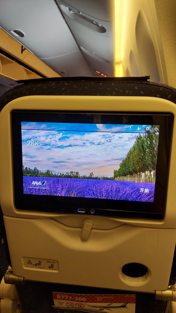 yume_vrc's tweet photo. ✈️ https://t.co/WAWA1d7CyR